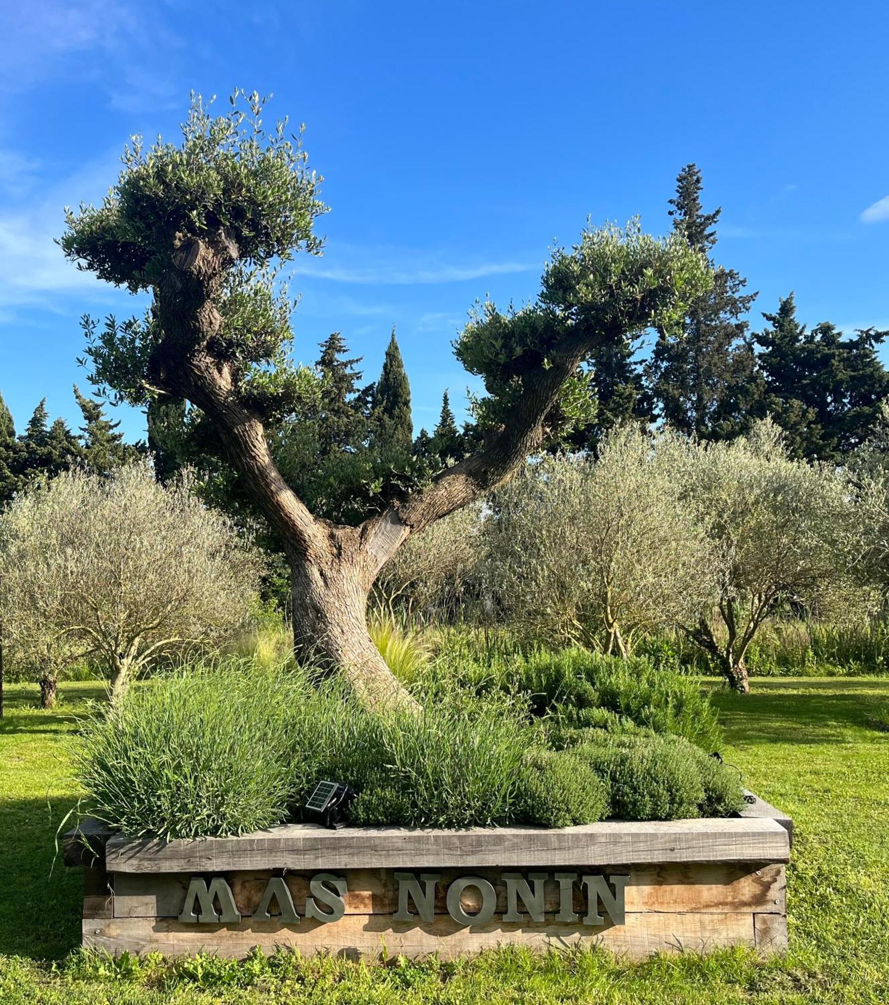 Hotel Mas De Nonin St Remy De Provence Noves Exteriér fotografie